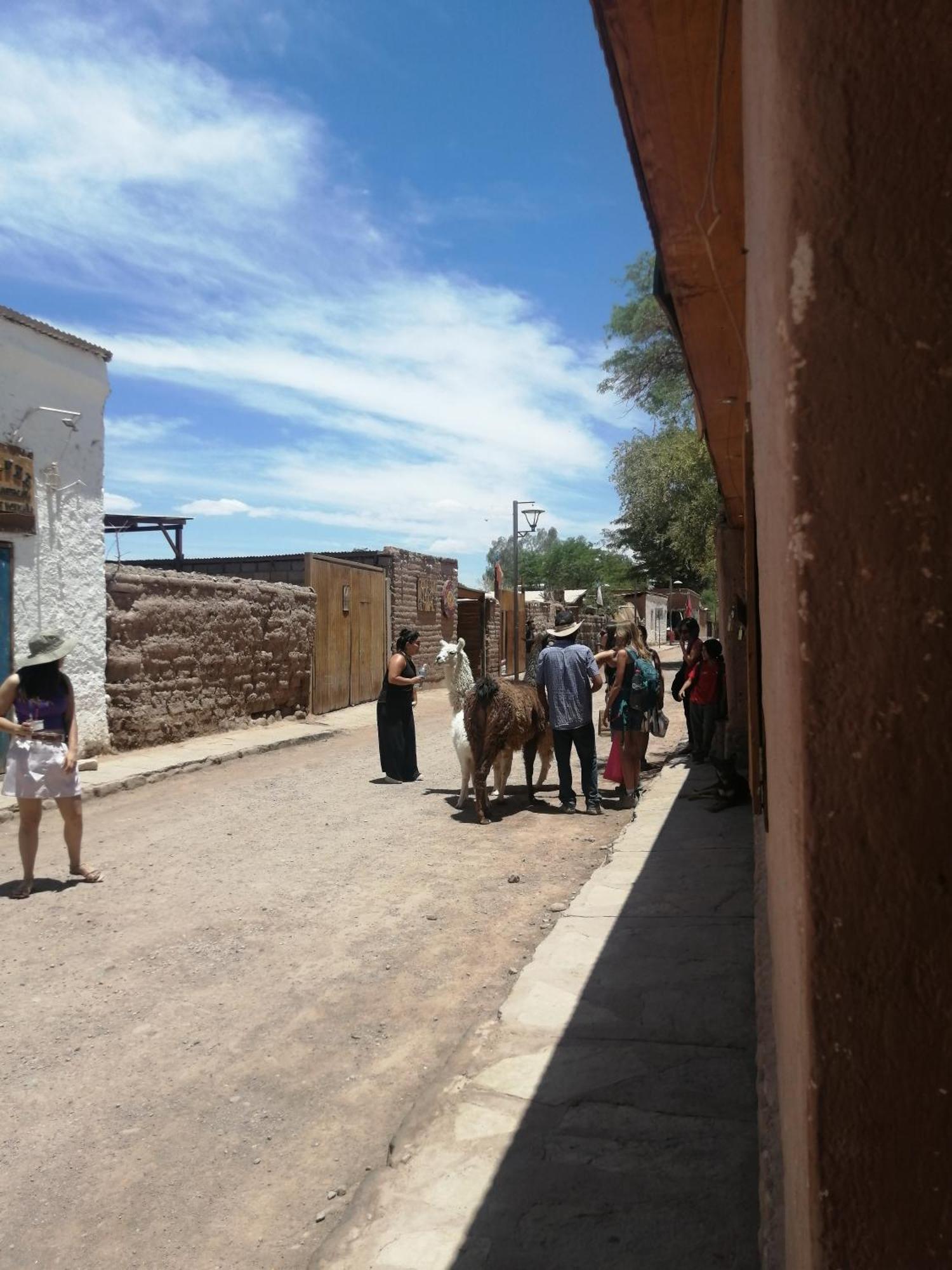 Ferienwohnung Viajes & Vida Km0 San Pedro de Atacama Exterior foto